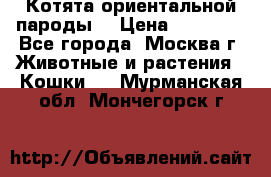 Котята ориентальной пароды  › Цена ­ 12 000 - Все города, Москва г. Животные и растения » Кошки   . Мурманская обл.,Мончегорск г.